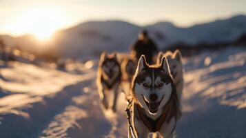 Husky sled dogs pulling a sled in arctic mountain wilderness. photo