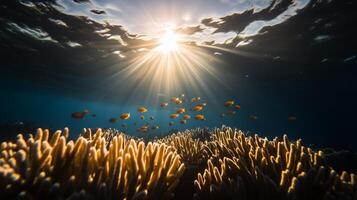 Underwater scene with sun shining over coral reef photo