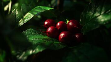 A cluster of beets resting atop a lush green leaf photo
