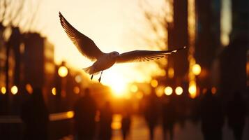 A seagull in flight over a city street photo