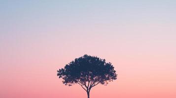 A lone tree stands in the middle of a field at sunset photo