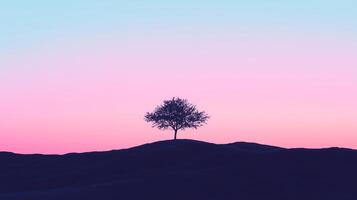 A lone tree stands on top of a hill in front of a pink and blue sky photo