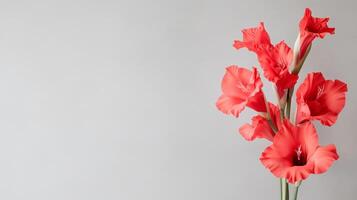 A vase with red gladiolas in it photo