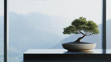 A bonsai tree in a pot on a table photo