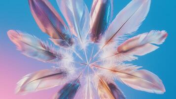 A close up of some feathers on a blue and pink background photo