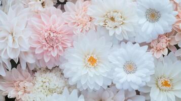 A bunch of white and pink flowers are arranged in a circle photo