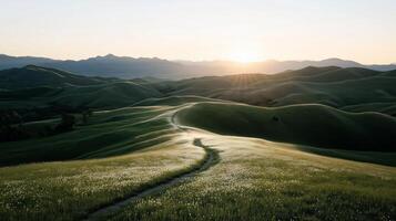 A path leads to the sun in the middle of a green field photo