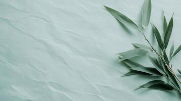 Green leaves on a blue background photo