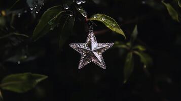 star on branch photo
