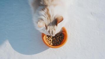 A cat eating from an orange bowl on a snowy surface photo