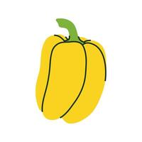 Stylized illustration of fresh yellow bell pepper. vector