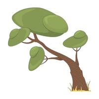 Savanna tree with thick green canopies and twisting trunk 2D cartoon object. Environmental flora. Acacia shape. African tree isolated element flat clip art on white. Spot illustration vector