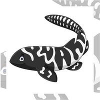 Cartoon zebra shark on white background vector