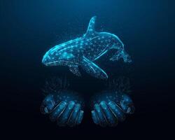 Killer whale. Wireframe glowing low poly Orca whale. Design on dark blue background. Abstract futuristic illustration. vector