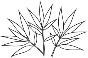 A drawing of leaves on a white background vector
