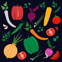 Set of colorful summer autumn drawn vegetables. Illustration with different vegetables onion, garlic, pepper, radish, beetroot, peas. Hand drawn stickers vector