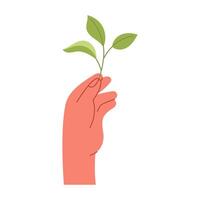 Man holding a green branch isolated on a white background vector