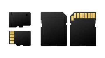 Memory cards of different sizes and formats are arranged on a white background vector