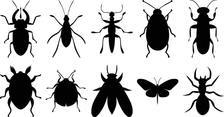 Silhouetted Bug Set