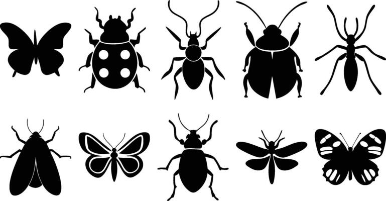 Insect Icon Shapes