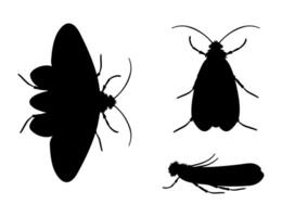 Clothes moth silhouette in different positions representing common house pest vector