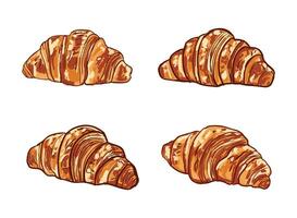 Hand-Drawn Croissant Set Illustration vector