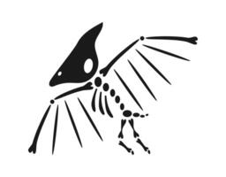 Pterodactyl skeleton flying with wide open wings, black and white illustration vector