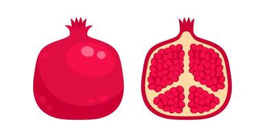 Whole and halved pomegranate showing the red seeds vector
