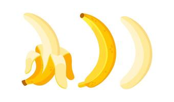 Peeled banana, whole banana and banana without peel isolated on white background vector
