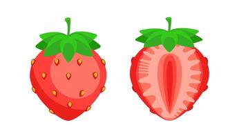 Two Strawberries Showing Whole Fruit and Cross Section on White Background vector