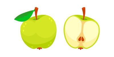 Green apple cut in half showing the seeds and a whole green apple with leaf vector