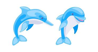 Two playful dolphins jumping and showing their fins and tails vector