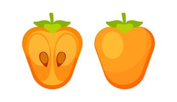 Fresh Persimmon Fruit and Half Persimmon Showing Seeds and Pulp vector