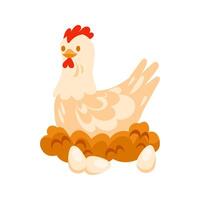 Hen sitting on nest with eggs, poultry farming concept vector