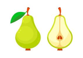 Green Pear Showing its Whole and Halved Version with Seeds vector