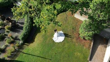 Aerial view of a bride and groom embracing on a green lawn, surrounded by trees and paths, shot in sunlight video