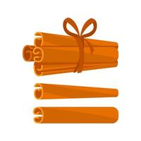 Cinnamon Sticks Tied with Ribbon and Isolated on White Background vector