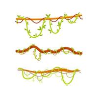 Twisted wild lianas hanging from tree branches in the jungle vector