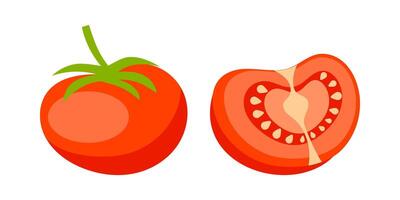 Fresh red tomato and a half of tomato showing seeds and pulp vector