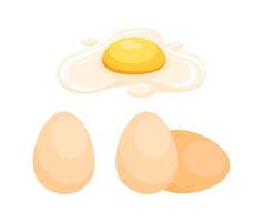 Fried egg and three whole eggs representing breakfast ingredients vector