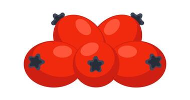 Five rose hips forming a small group isolated on white background vector