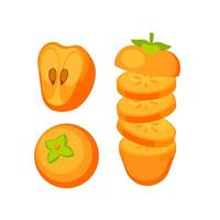 Fresh persimmon cut in half and sliced showing seeds and leaves vector