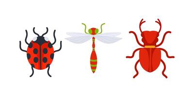 Ladybug, dragonfly and beetle showing insect diversity vector