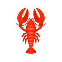 Red lobster showing its claws on white background vector