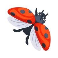 Cute ladybug flying and showing its wings vector