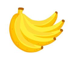 Bunch of ripe bananas creating a vibrant display of yellow hues vector