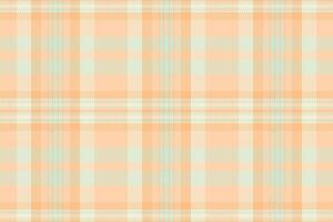 Soft peach and mint plaid pattern. Ideal for textile design, apparel, home decor, and branding. Subtle yet stylish, this versatile image evokes feelings of calm and serenity. vector
