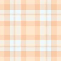 Advertisement fabric check , livingroom pattern texture seamless. Sensual background tartan textile plaid in light and linen colors. vector