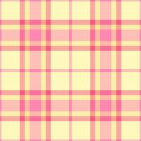Sexual pattern texture plaid, skirt background tartan. Screen check seamless textile fabric in red and light colors. vector