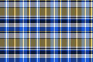Handsome seamless plaid tartan, newborn check fabric . Difficult textile background texture pattern in dark and white colors. vector